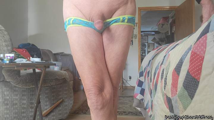 Photo of a dick from Pantyboy