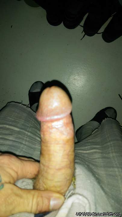 Photo of a phallus from Alf4269