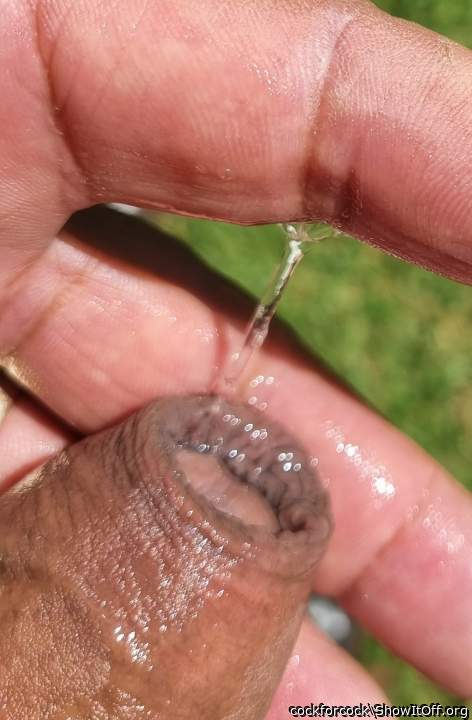 Want to lick him?