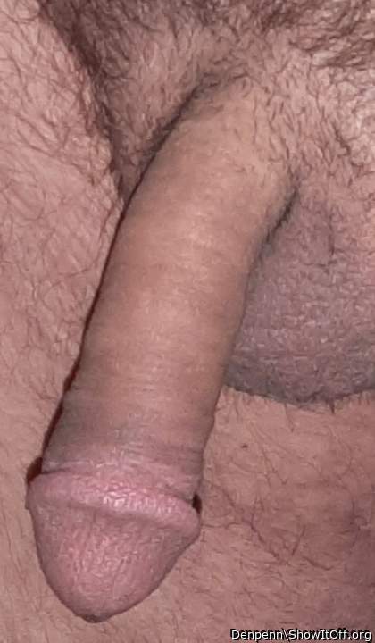 Photo of a stiffie from Denpenn