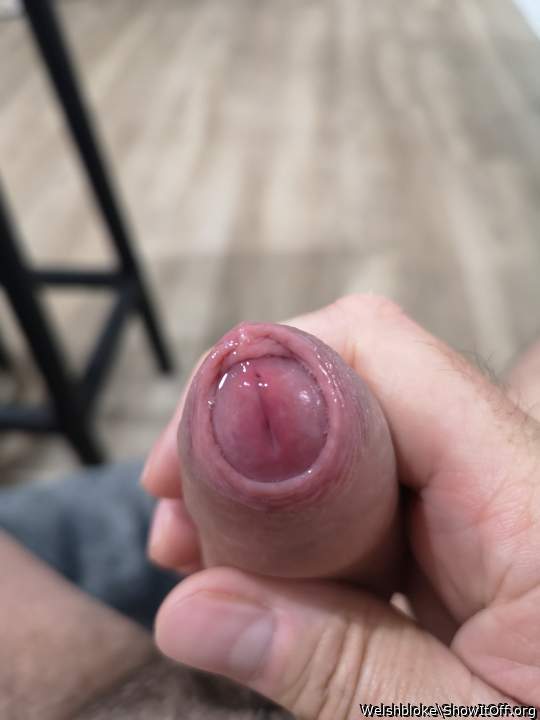 Great foreskin 