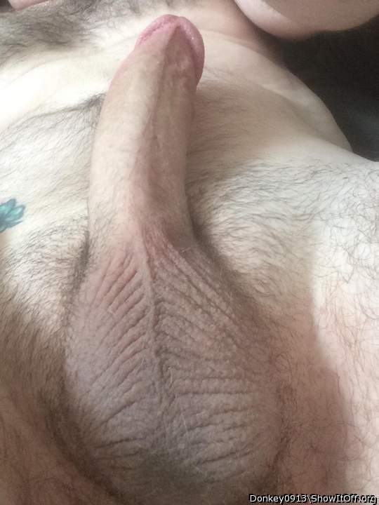 Testicles Photo from Donkey0913