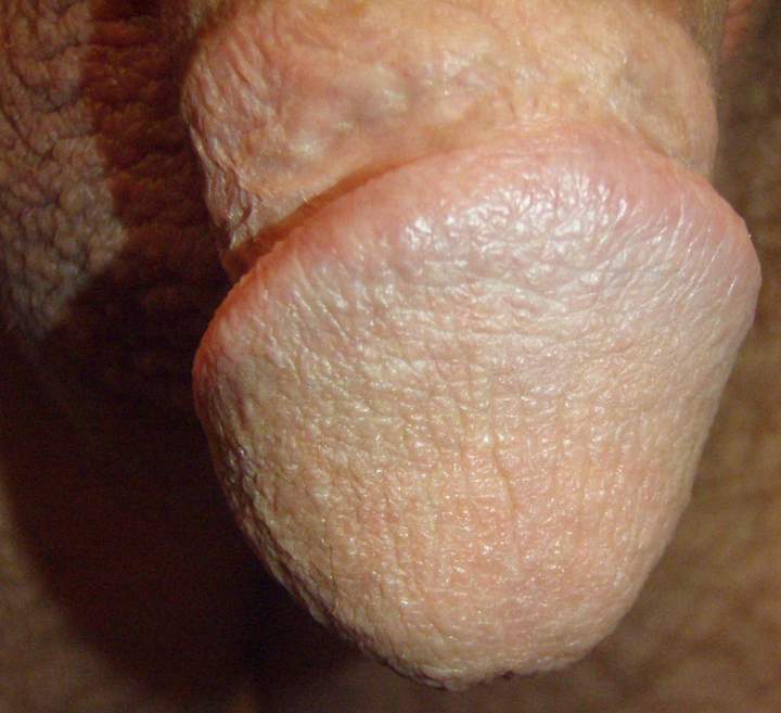 Photo of a joystick from lilsoftee