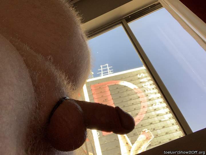Photo of a dong from Toeluvr