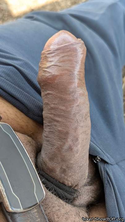 Photo of a schlong from Biker