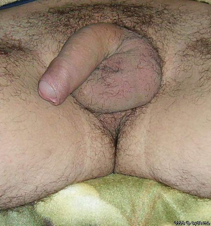 Photo of a cock from 0123