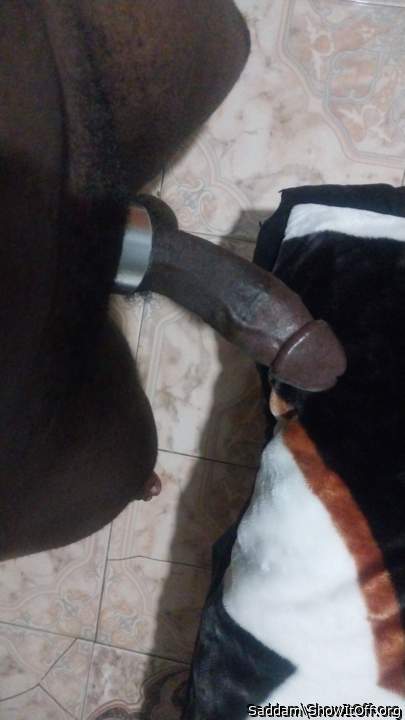 Photo of a dick from Saddam