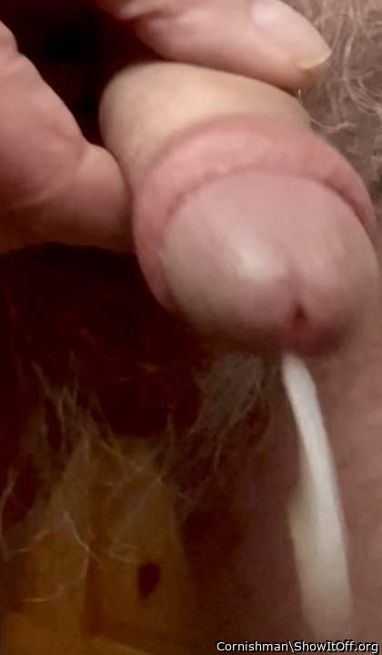 Photo of a sausage from Cornishman