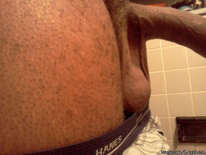 Photo of a penis from blacksnake
