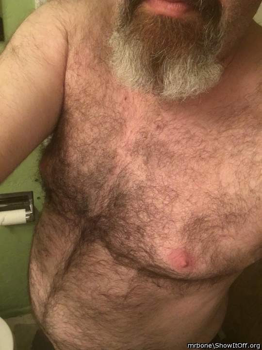 Bearded Bear