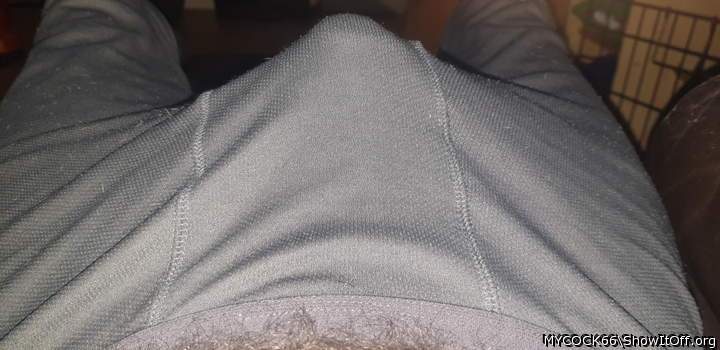 Photo of a third leg from MYCOCK66
