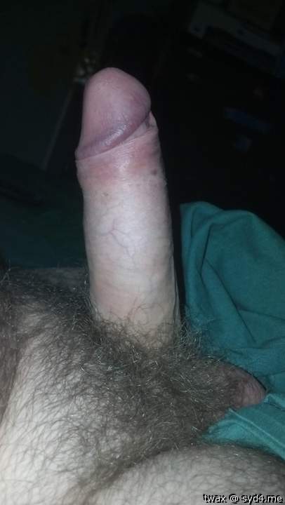 Photo of a hot dog from twax