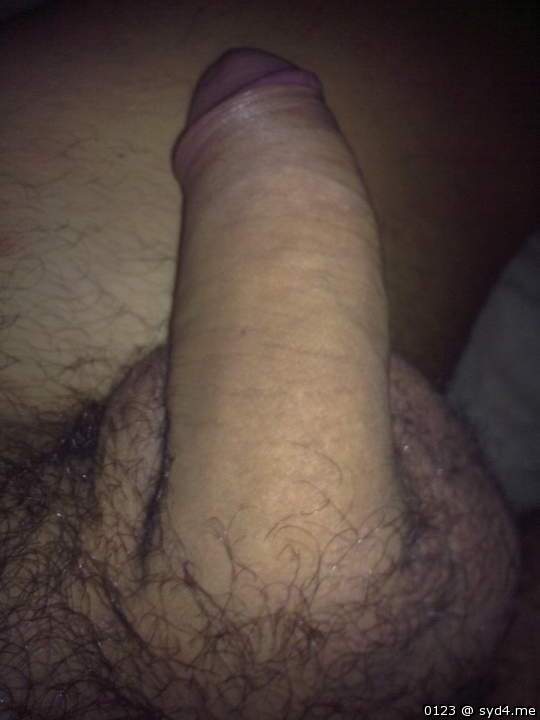 Photo of a ram rod from 0123