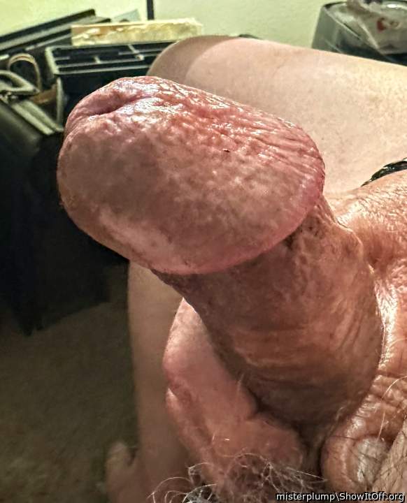 I'd love to suck this cock  