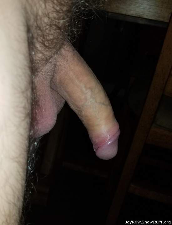 Photo of a middle leg from JayR69