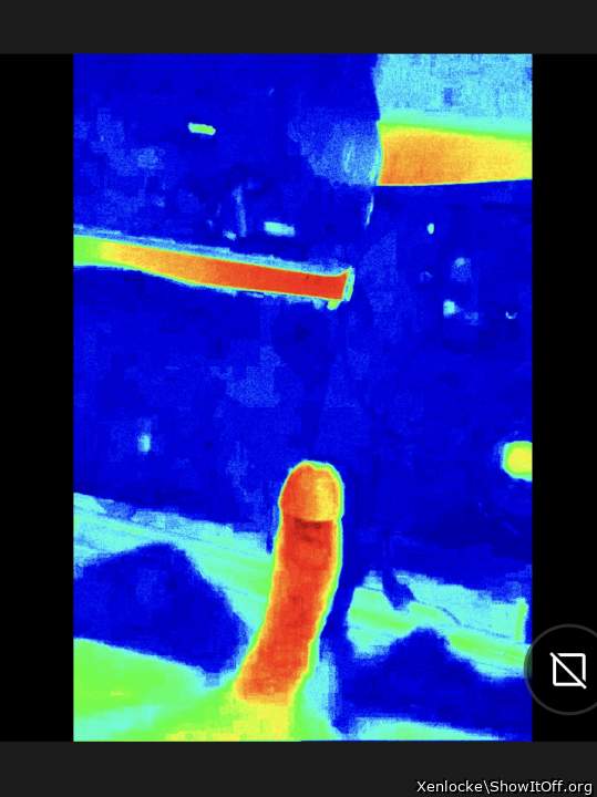 Photo of a hot dog from Xenlocke