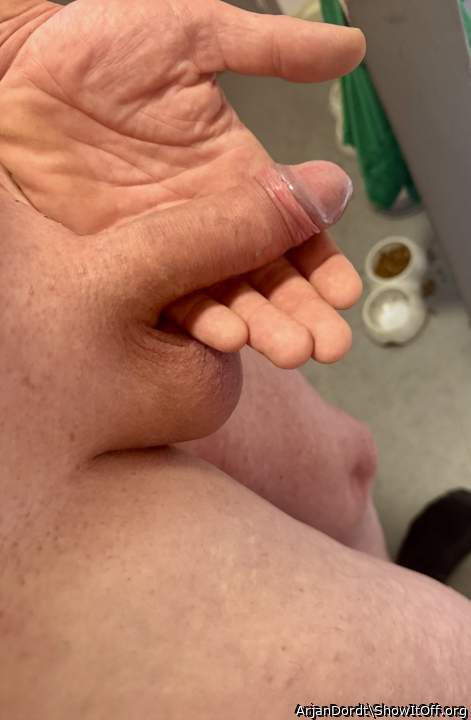 Photo of a cock from ArjanDordt