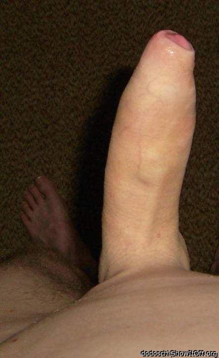 Photo of a stiffie from dodosch