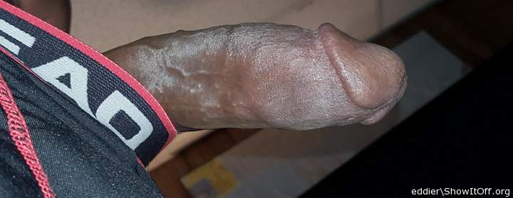 Photo of a snake from eddier
