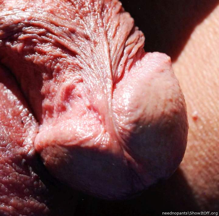 Photo of a power tool from neednopants