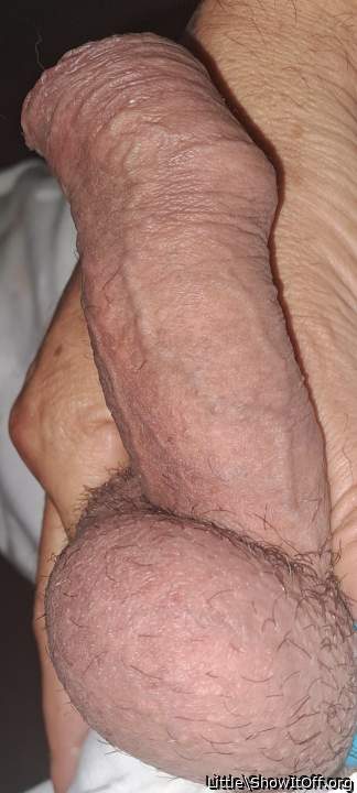 Photo of a bat from Little