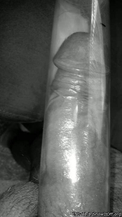 Photo of a middle leg from TNT-48-8