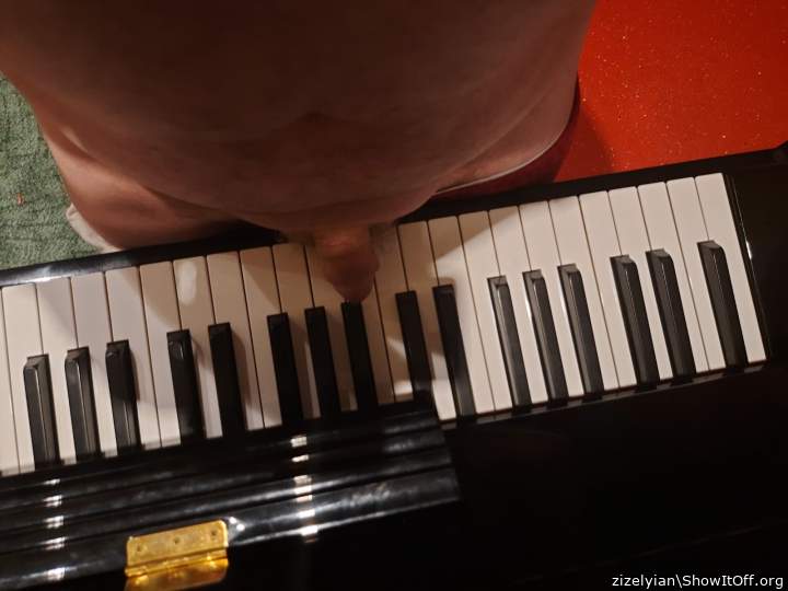 gay cock pianists