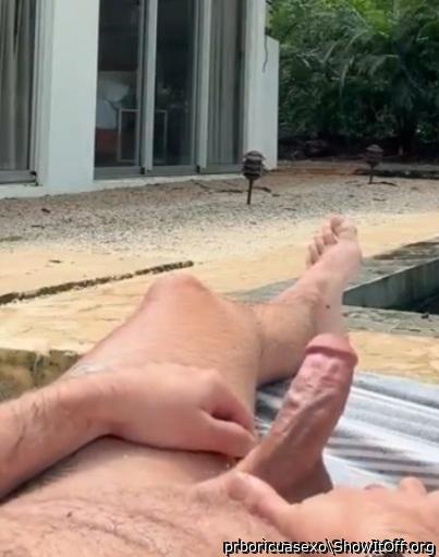 Photo of a rooster from prboricuasexo