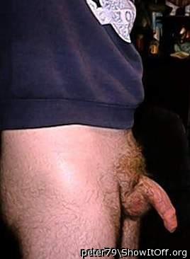 Photo of a hot dog from peter79