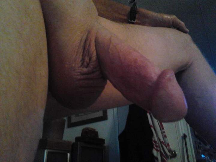 Photo of a sausage from fish4free