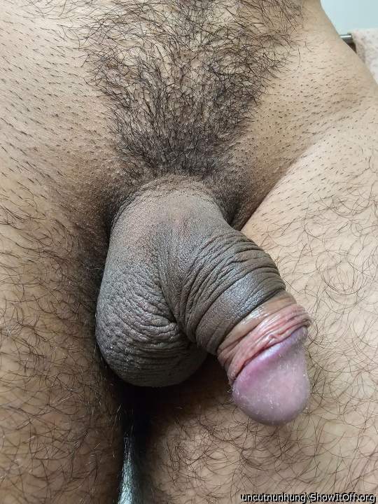 Photo of a weasel from uncutnunhung