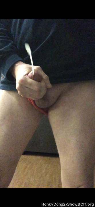 Photo of a short leg from HonkyDong2