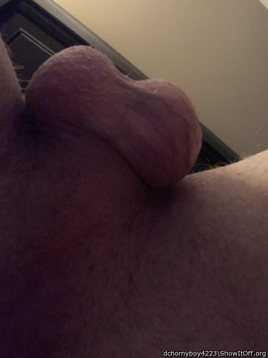 Photo of a purple headed monster from dchornyboy4223