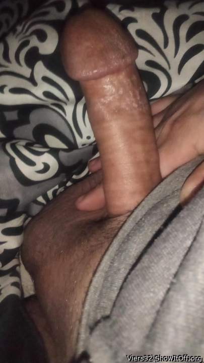 Photo of a third leg from Viers32