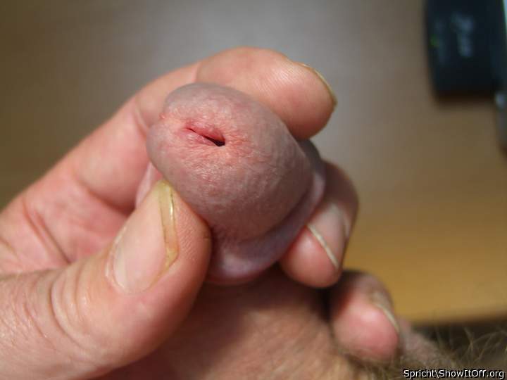 Photo of a hot dog from Spricht