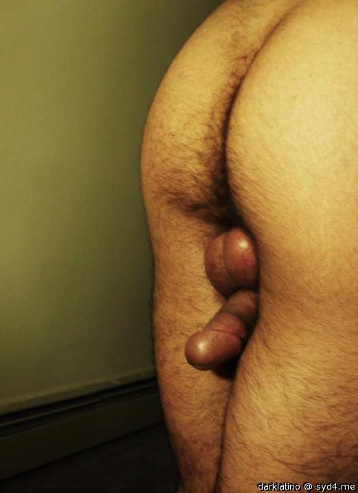 Photo of a bald-headed mouse from darklatino