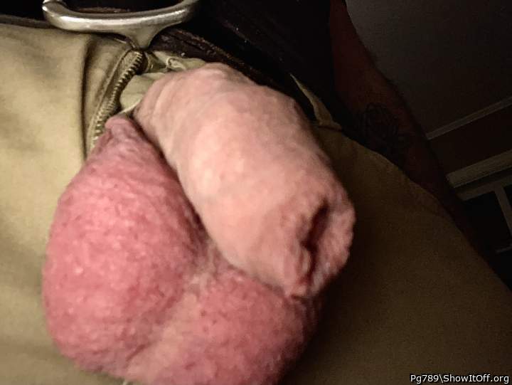 Photo of a horn from Pg789