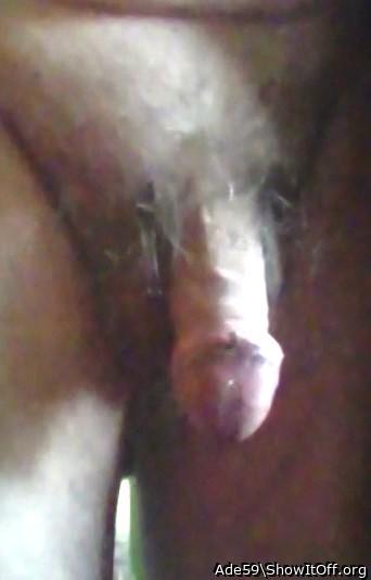 Photo of a cock from Ade59