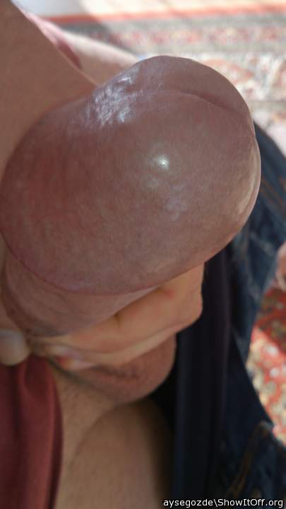 Photo of a bald-headed mouse from aysegozde