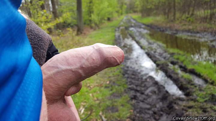 Einfach sch�n!!! W�rde ich gern mal anfassen!
