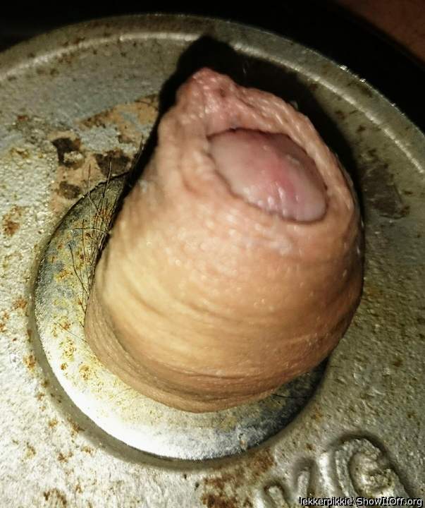 Photo of a snake from lekkerpikkie