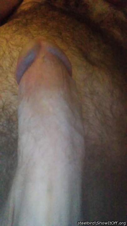 Photo of a penis from Steelbird