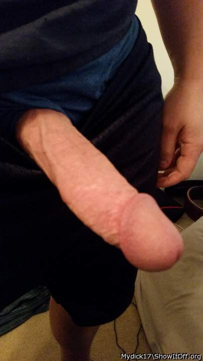 handsome dick  