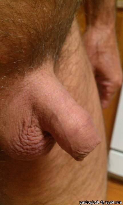 Photo of a penile from yardog319