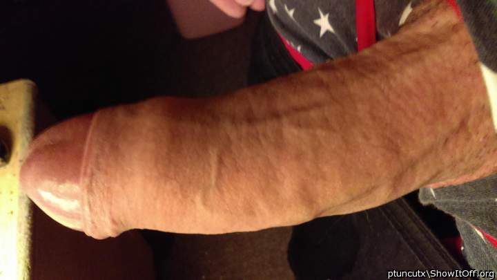 Photo of a middle leg from ptuncutx