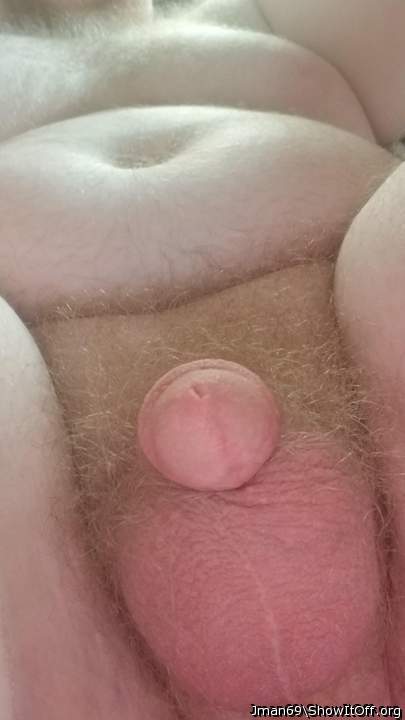 Photo of a horn from Jman69