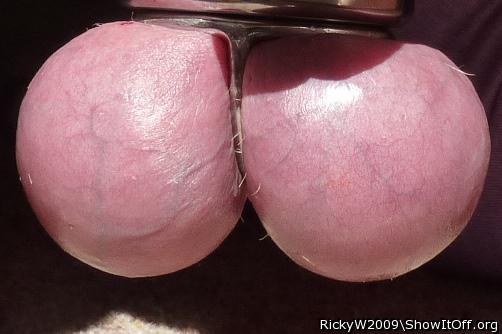It's nice out today, think I'll keep them out!