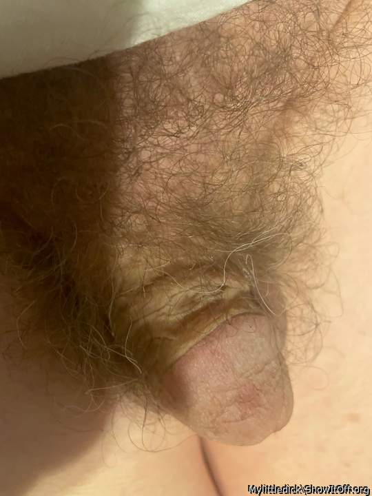 Photo of a private part from Mylittledick