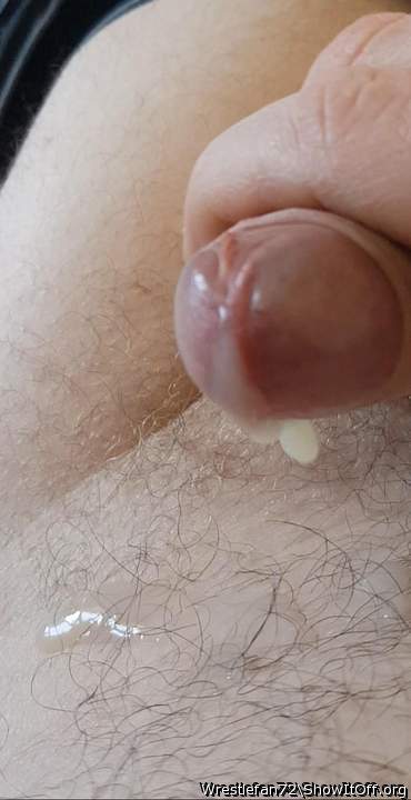Photo of a middle leg from Wrestlefan72