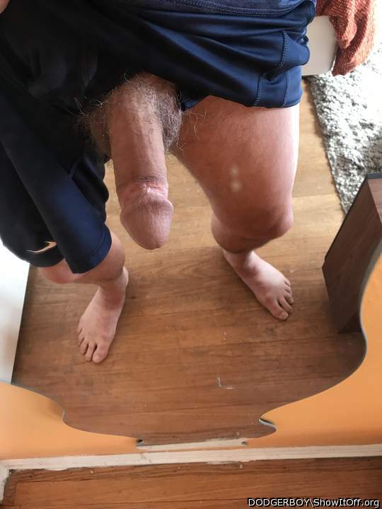 Photo of a penis from dodgerboy
